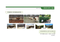[관광개발론 과제] 한국민속촌 성공요인 / 관광지 성공요인-10