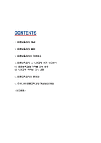 표준보육과정 개념,목표,내용분석과 표준보육과정 vs 누리과정 비교분석 및 표준보육과정 문제점과 개선방안 제시 -2