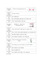 성인간호학실습 / 소화기내과 / 간암 HCC(Hepatocelluar carcinoma) / 급성통증 & 지식부족& 출혈위험성 / A+-6