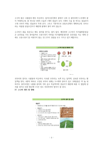 고구마 개념정리-3