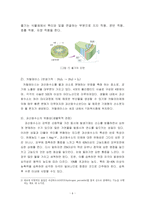 식물 별 카탈레이스 함유량 비교실험(고구마, 감자, 열무, 마늘)-6