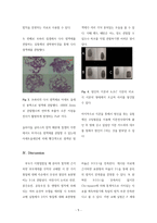 초파리 염색체관찰실험 (Genetics & Chromosome)-5