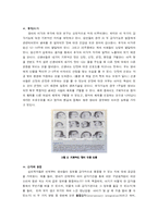 [영유아감각] 감각과 지각발달-10