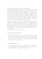 [경영학] 초고속 인터넷 시장의 현황과 전망 - 파워콤, 지역방송(케이블) 인터넷 서비스-17
