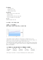 싸이월드 브랜드마케팅전략-6
