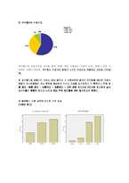 싸이월드 브랜드마케팅전략-10