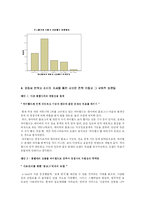 싸이월드 브랜드마케팅전략-15