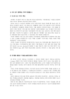 싸이월드 브랜드마케팅전략-17