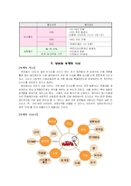 [글로벌브랜드] 난타 국제마케팅전략-9