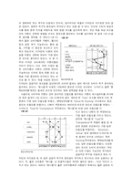 [마케팅] 고객의 브랜드 지식 측정 방법-12