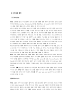 [마케팅] GAP 전략적 브랜드 관리-4