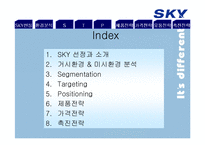 SKY 스카이 마케팅전략-2