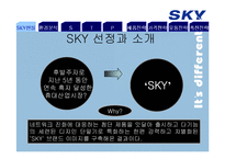 SKY 스카이 마케팅전략-3