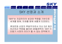 SKY 스카이 마케팅전략-4