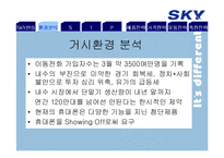 SKY 스카이 마케팅전략-5