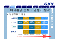 SKY 스카이 마케팅전략-8