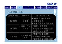 SKY 스카이 마케팅전략-10