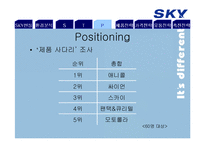 SKY 스카이 마케팅전략-13