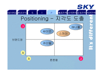 SKY 스카이 마케팅전략-15