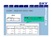 SKY 스카이 마케팅전략-18