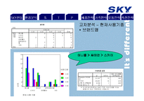 SKY 스카이 마케팅전략-19