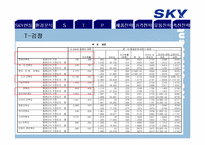 SKY 스카이 마케팅전략-20