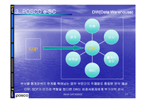 [경영정보] POSCO 포스코 e-sc 사례-17