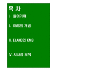 [운영관리] 이랜드의 경영혁신 지식관리시스템 KMS 에 대한 연구-2