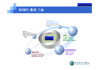[운영관리] 한국 유통업에 있어서의 SCM의 현황과 한계점-11