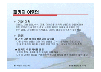 온라인여행사 사업계획서-11