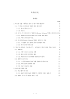[중동정치] 중동의 종족갈등 유형과 국민통합전략 - 레바논과 이라크 사례-2
