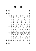 [한류열풍] 중남미 한류 현황 및 원인-2