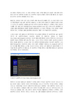 [정치커뮤니케이션] 1인 미디어의 출현과 커뮤니케이션 권력 - 1인 미디어의 사적권력-13