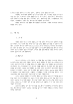 [중동정치] 예멘국가에 대해서-4