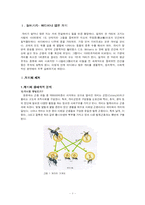 개미의 생태 조사-3