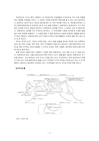 개미의 생태 조사-4