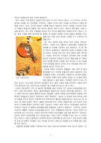 개미의 생태 조사-9