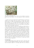 개미의 생태 조사-11