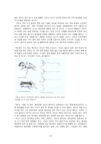 개미의 생태 조사-16