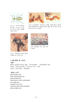 개미의 생태 조사-20