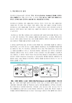 [정치와 매스컴] 유비쿼터스와 사이버-1