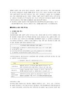 [정치와 매스컴] 유비쿼터스와 사이버-7