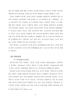[마케팅 기업컨설팅] 네이버 마케팅전략-13