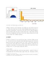 [마케팅전략] 싸이월드의 마케팅 전략-9