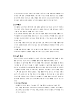 [마케팅사례] 싸이월드의 마케팅전략-4