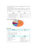 [마케팅사례] 싸이월드의 마케팅전략-9