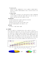 [마케팅사례] 싸이월드의 마케팅전략-13