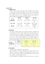 [마케팅사례] 싸이월드의 마케팅전략-14