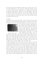 팔만대장경 레포트-8