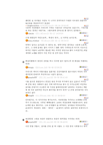 [댓글문화] 인터넷 댓글의 유형 및 사례분석 조사-6